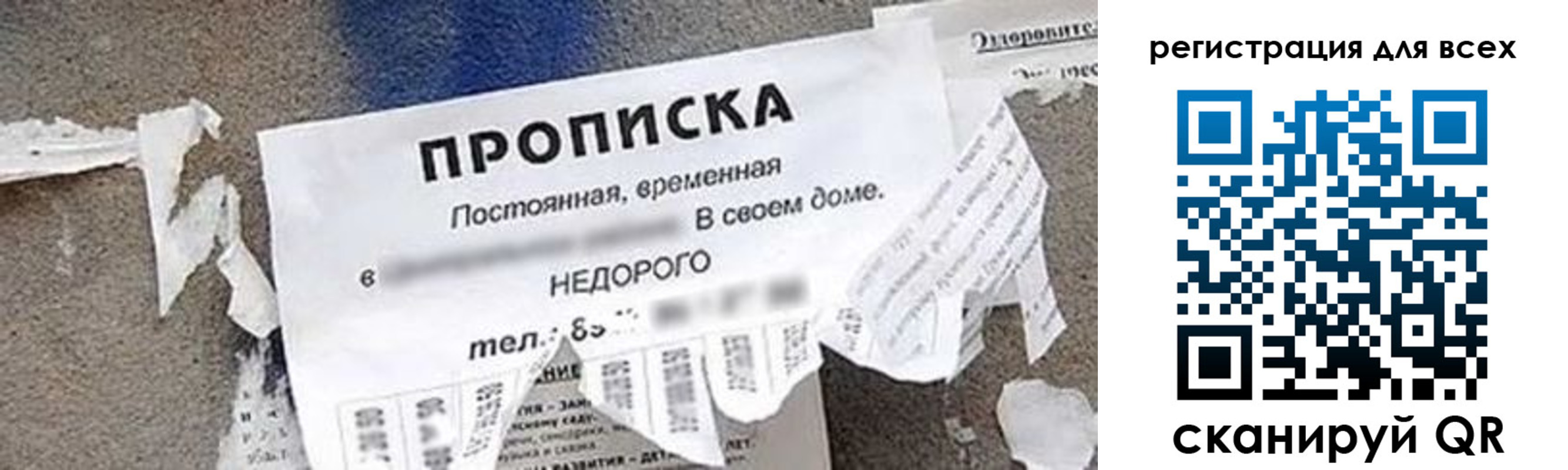 прописка поиск в Лысково